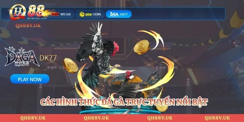 Đá Gà QH88 5 Các hình thức đá gà trực tuyến nổi bật