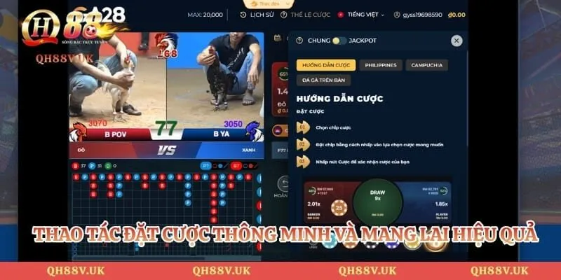 Đá Gà QH88 4 Thao tác đặt cược thông minh và mang lại hiệu quả
