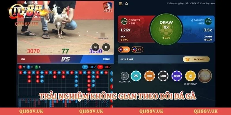 Đá Gà QH88 2 Trải nghiệm không gian theo dõi đá gà